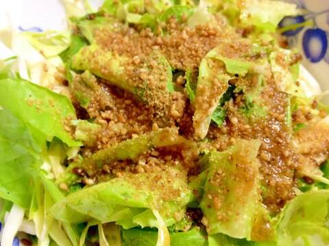 キャベツサラダ菜の胡麻サラダ